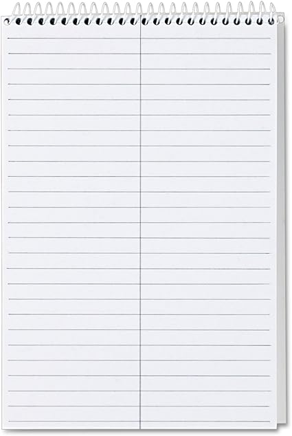TOPS Prism Steno Pads, 6" x 9", Gregg Ruled, Gray, 80 Sheets/Pad, 4 Pads/Pack